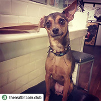 TRBC President Chili